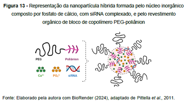 Figura 13: Representação da nanopartícula híbrida